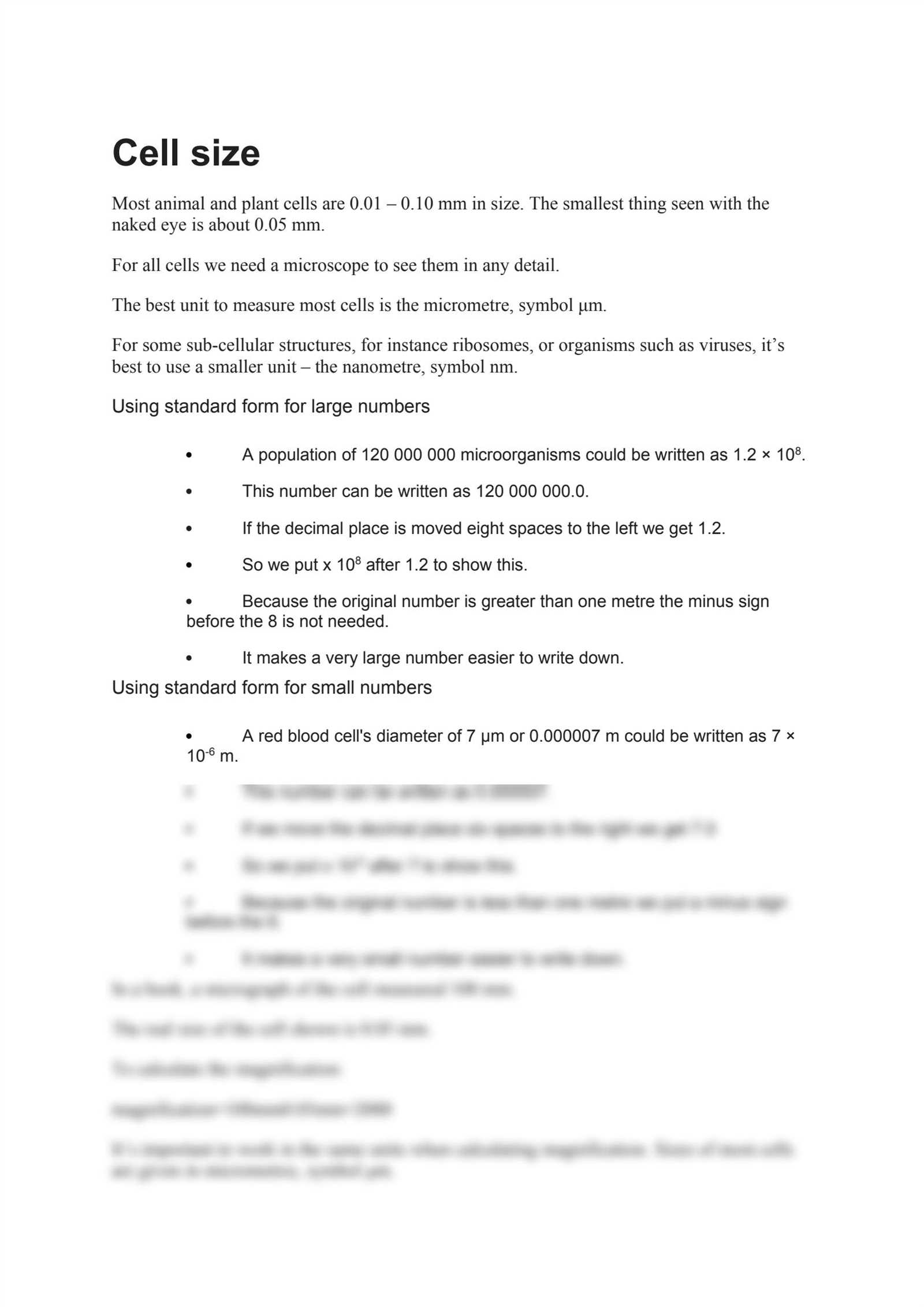 cell size worksheet answers