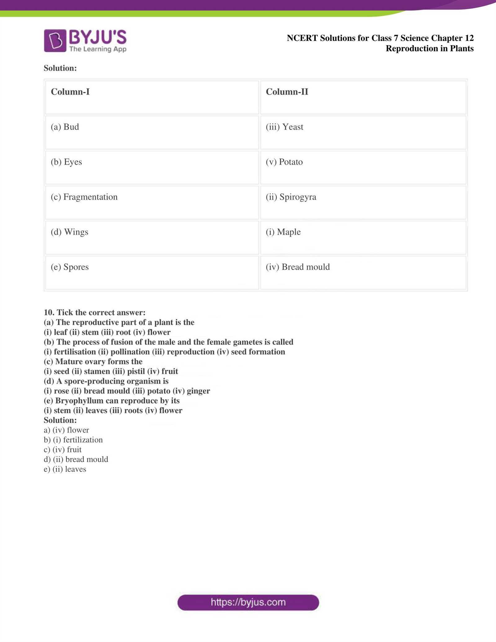 chapter 12 biology workbook answers