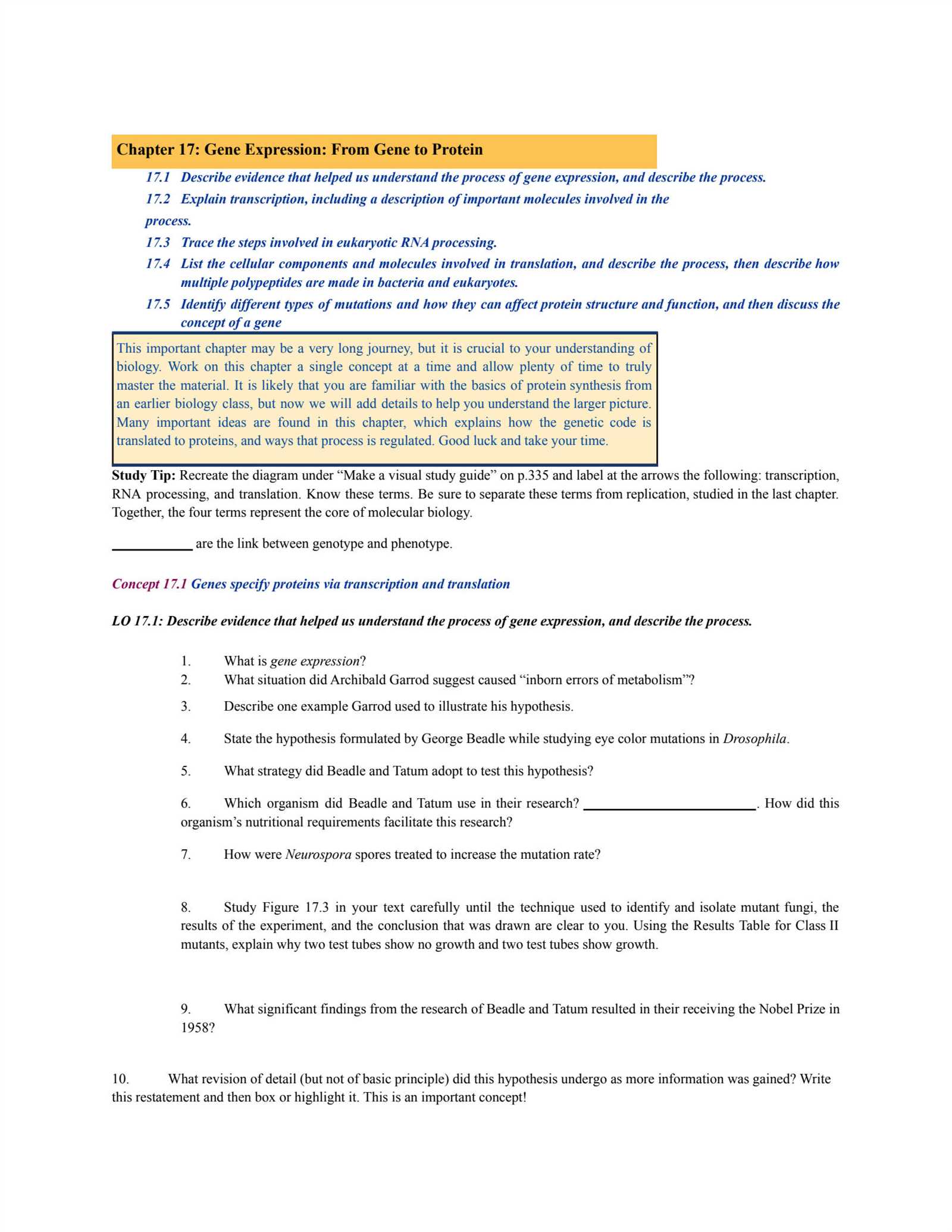 chapter 17 from gene to protein study guide answers