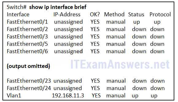 cisco netacad final exam answers