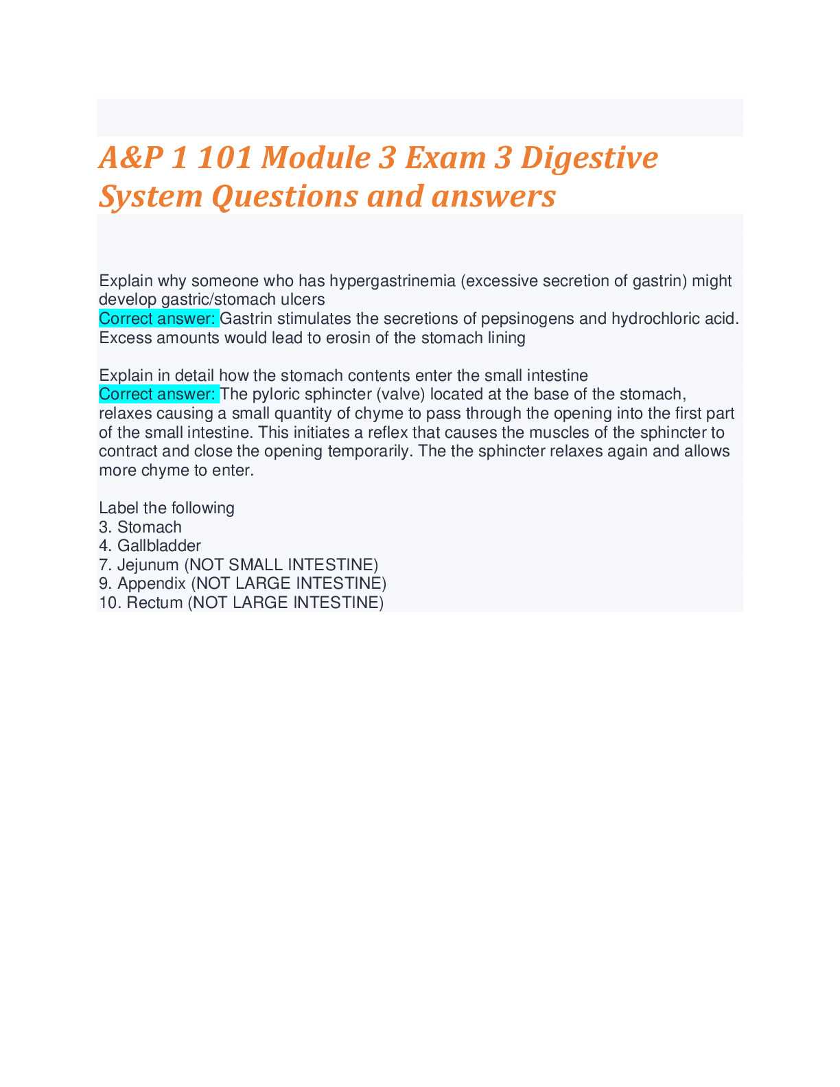 digestive system exam questions answers