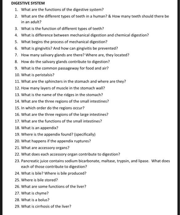 digestive system exam questions answers