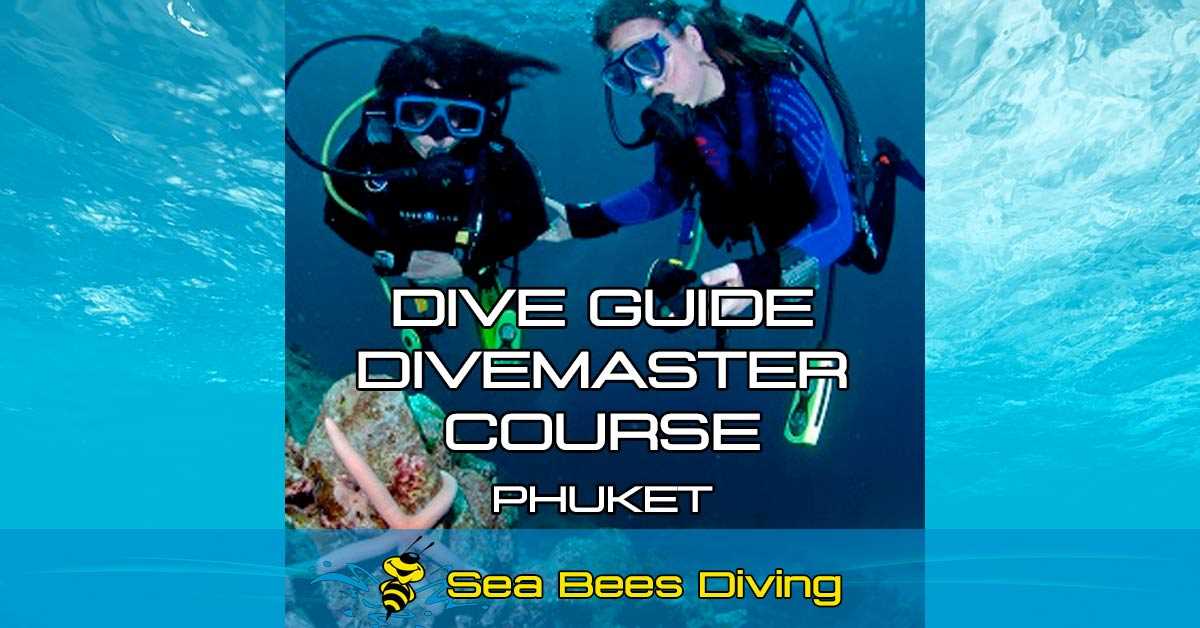 divemaster final exam answers