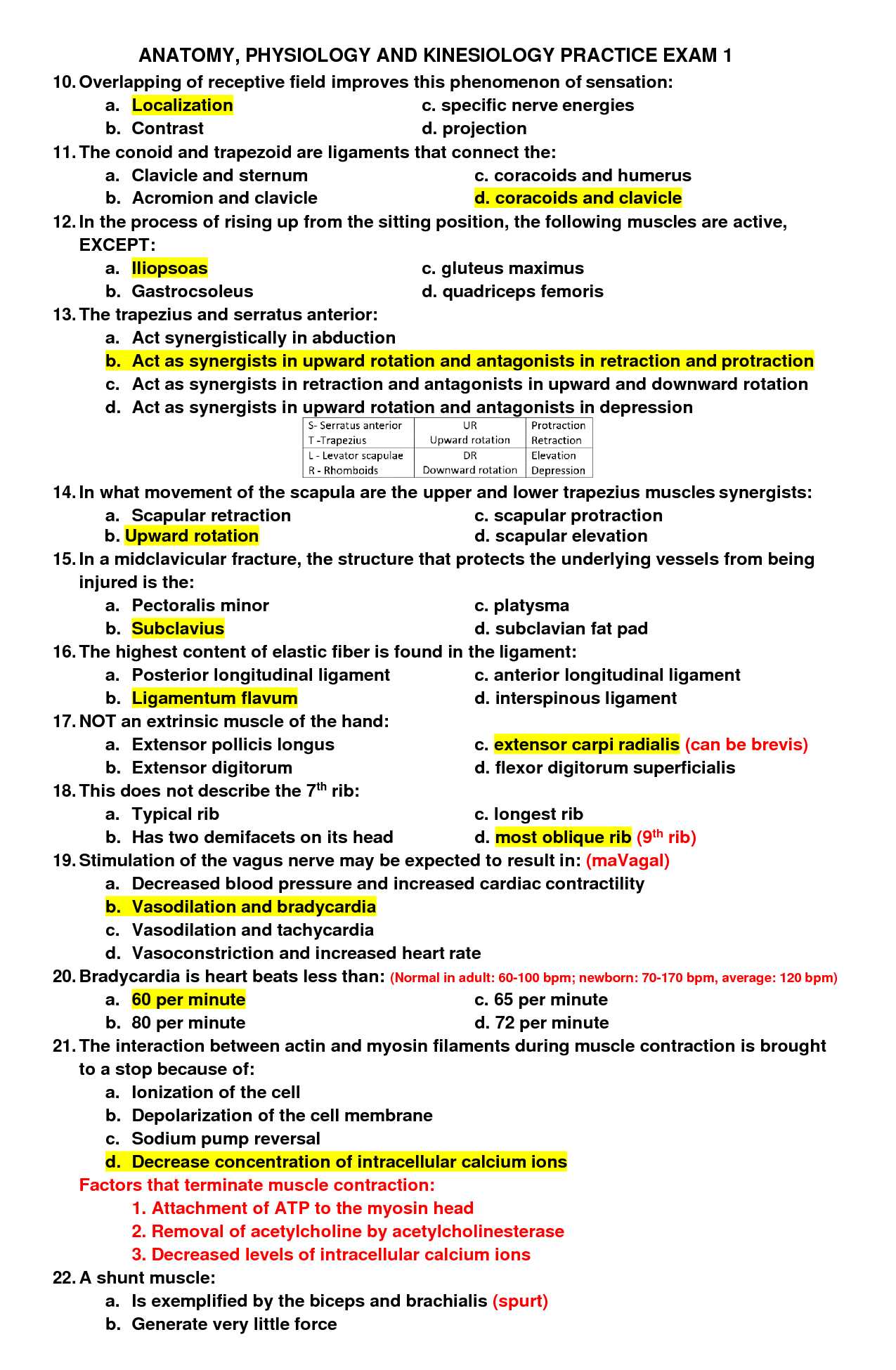 exam 1 anatomy and physiology