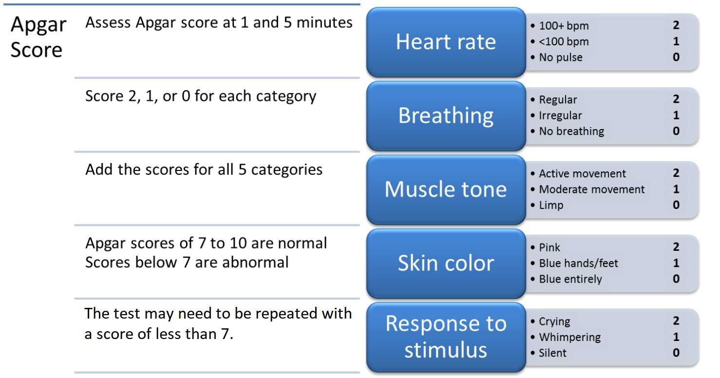 nrp exam questions and answers