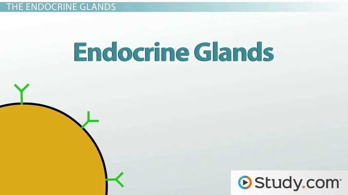 endocrine exam questions and answers