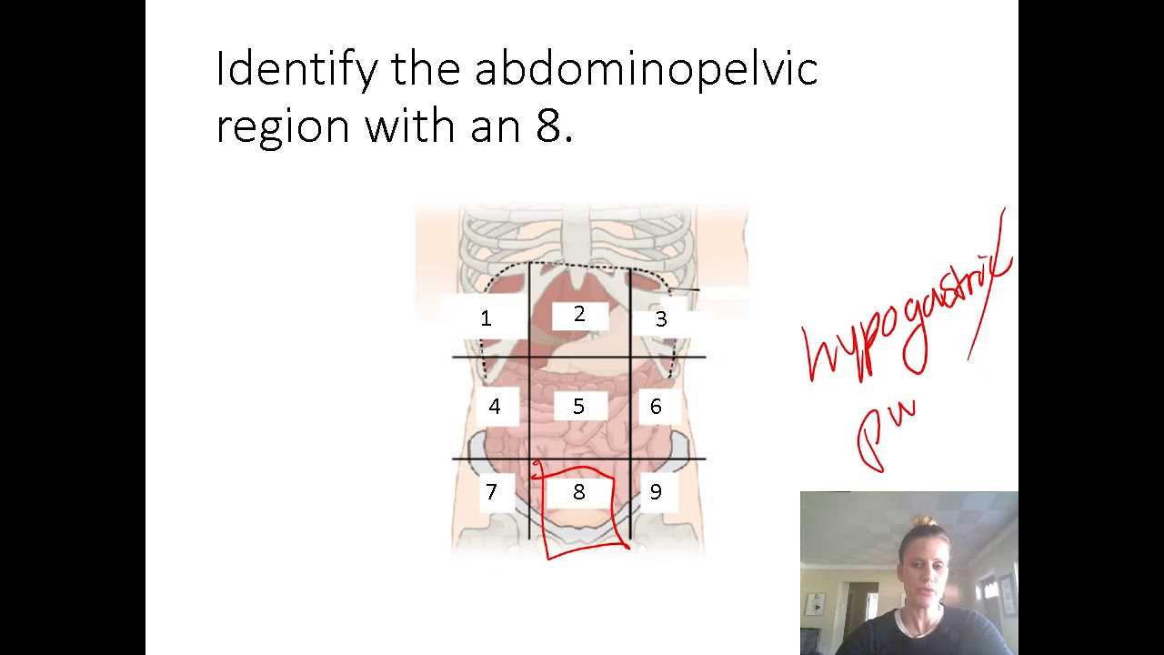 exam 1 anatomy and physiology