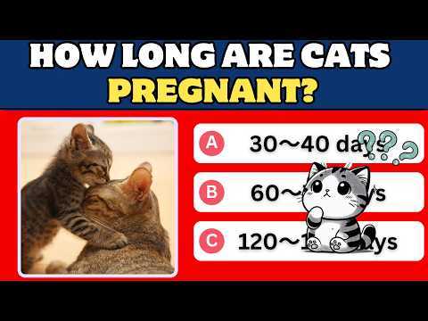 cat trivia questions and answers