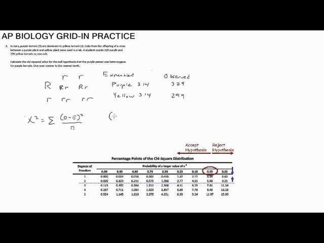 ap biology exam practice grid in questions answers