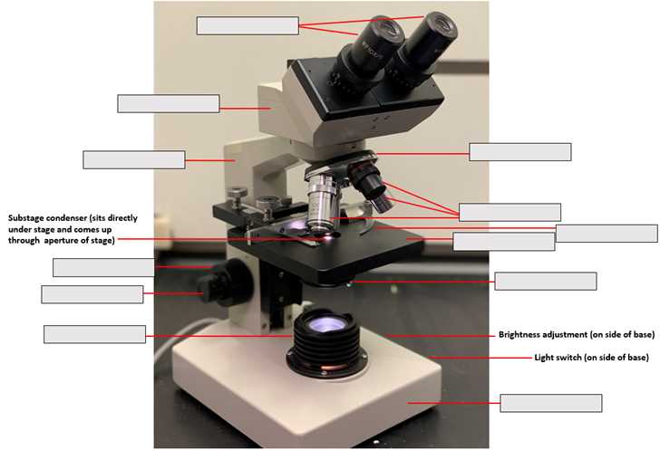 biology 101 lab practical exam