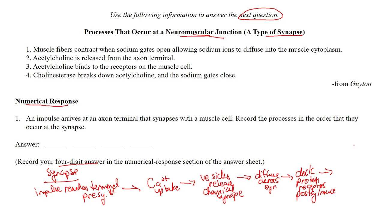 biology 30 practice exam answers