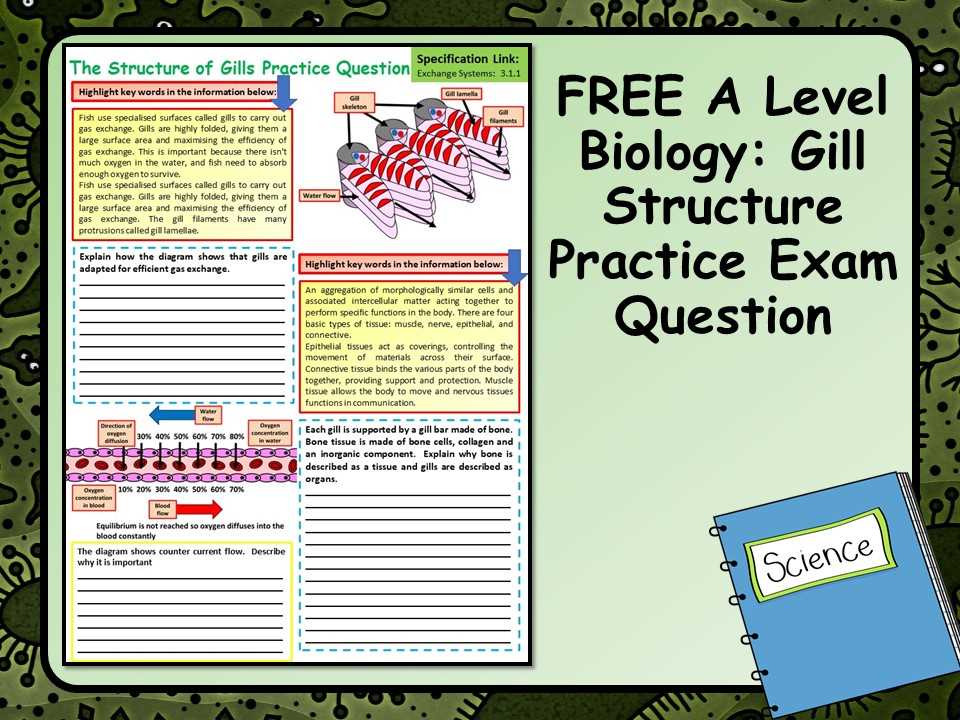 biology 30 practice exam answers