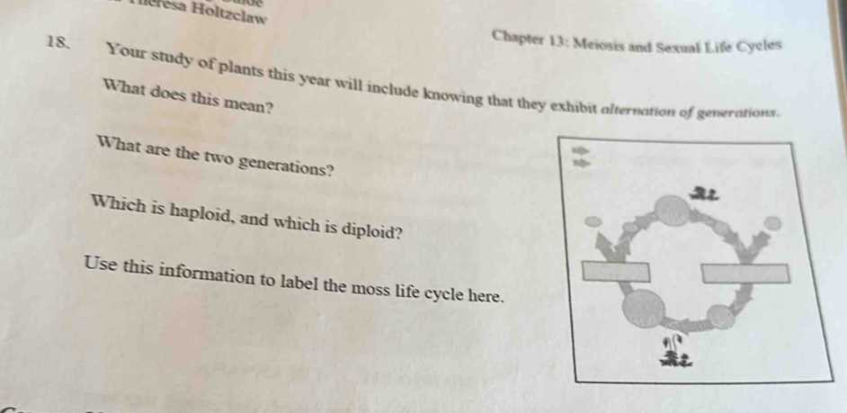 chapter 13 meiosis and sexual life cycles reading guide answers