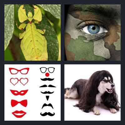 4 pics one word answers 8 letters