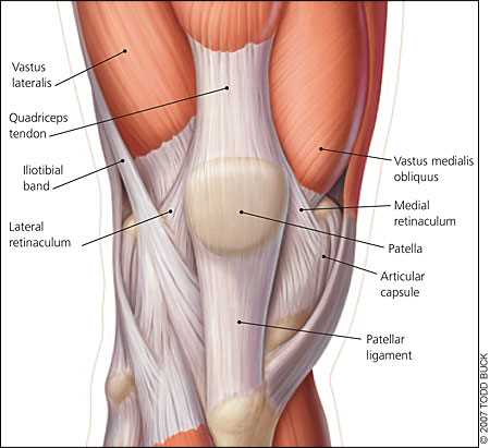 knee exam aafp