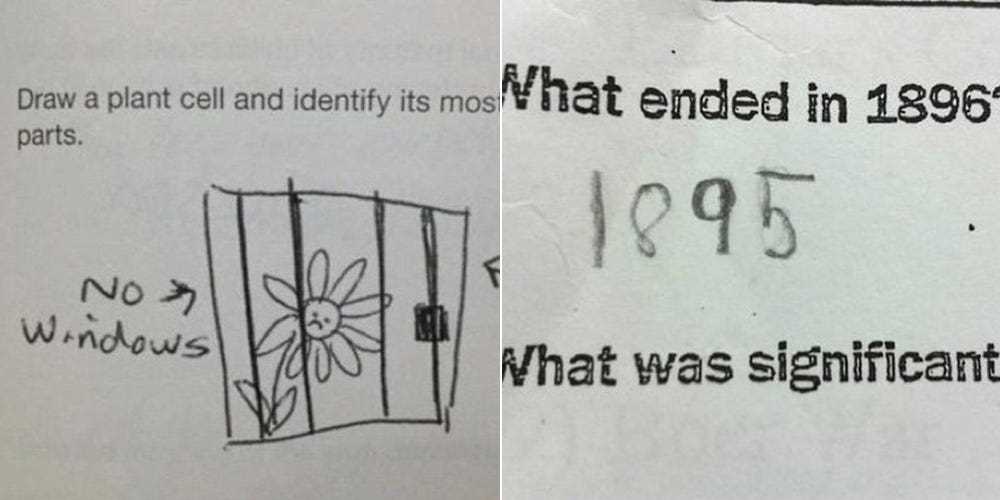 funniest exam answers ever