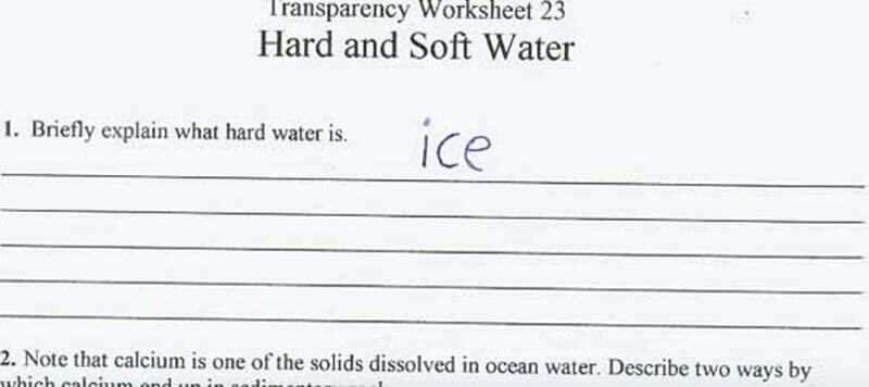 funniest exam answers ever