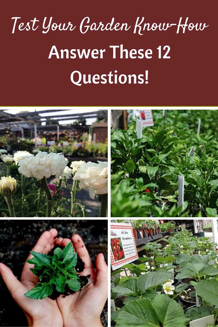 gardener exam questions and answers