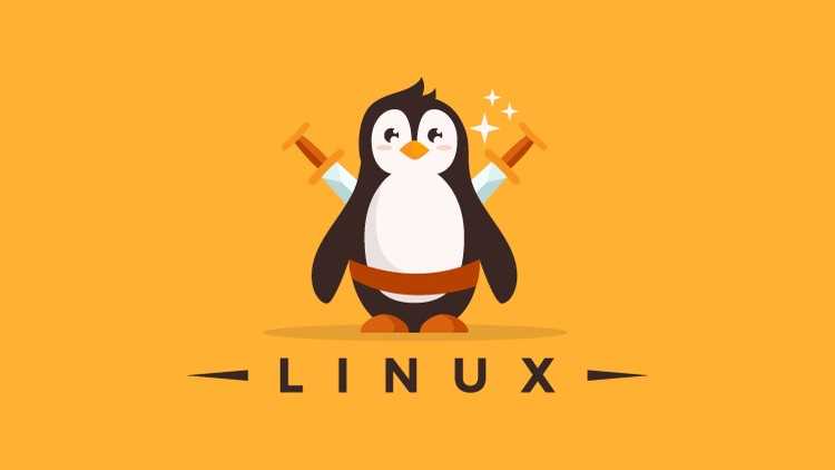 ndg linux essentials chapter 2 exam answers