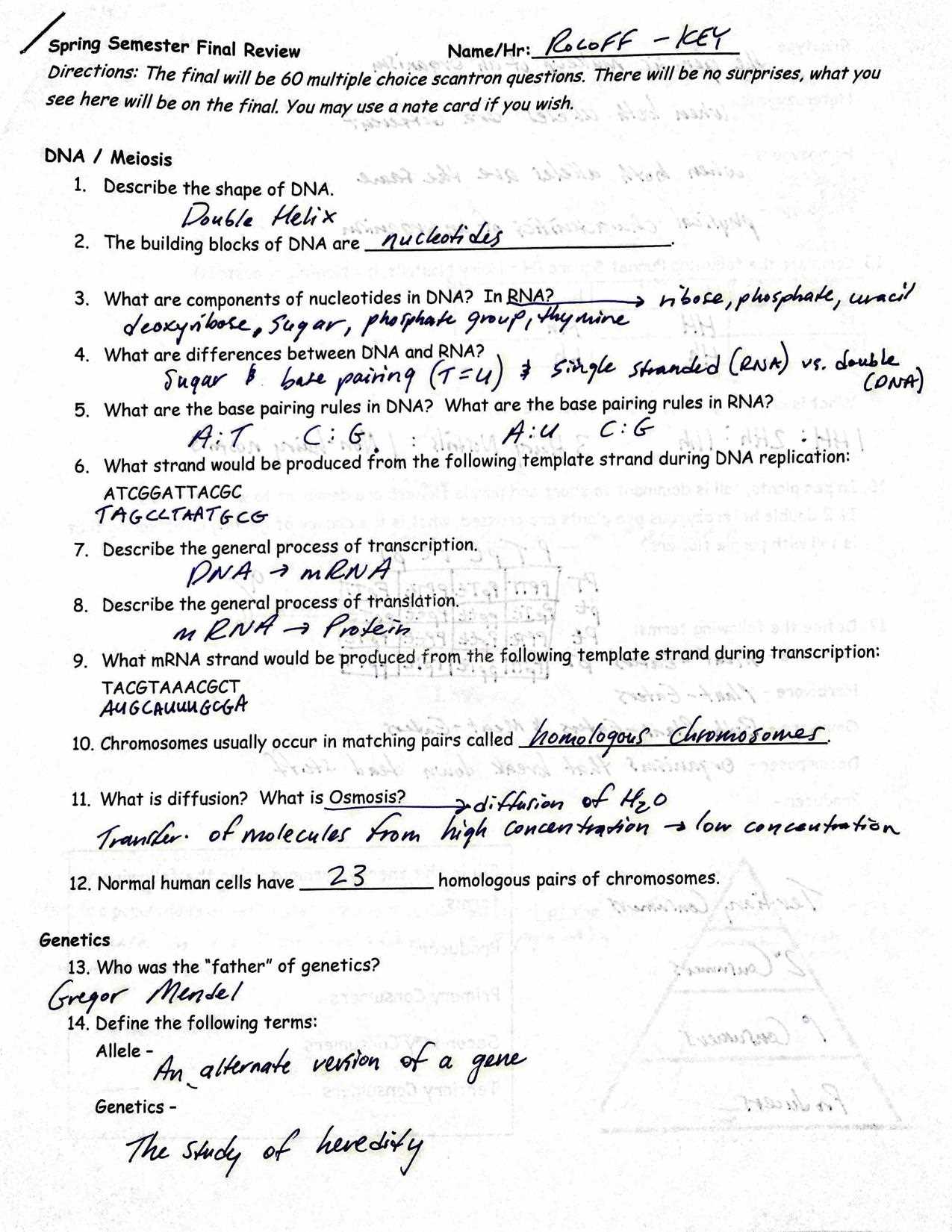 genetics exam review answer key