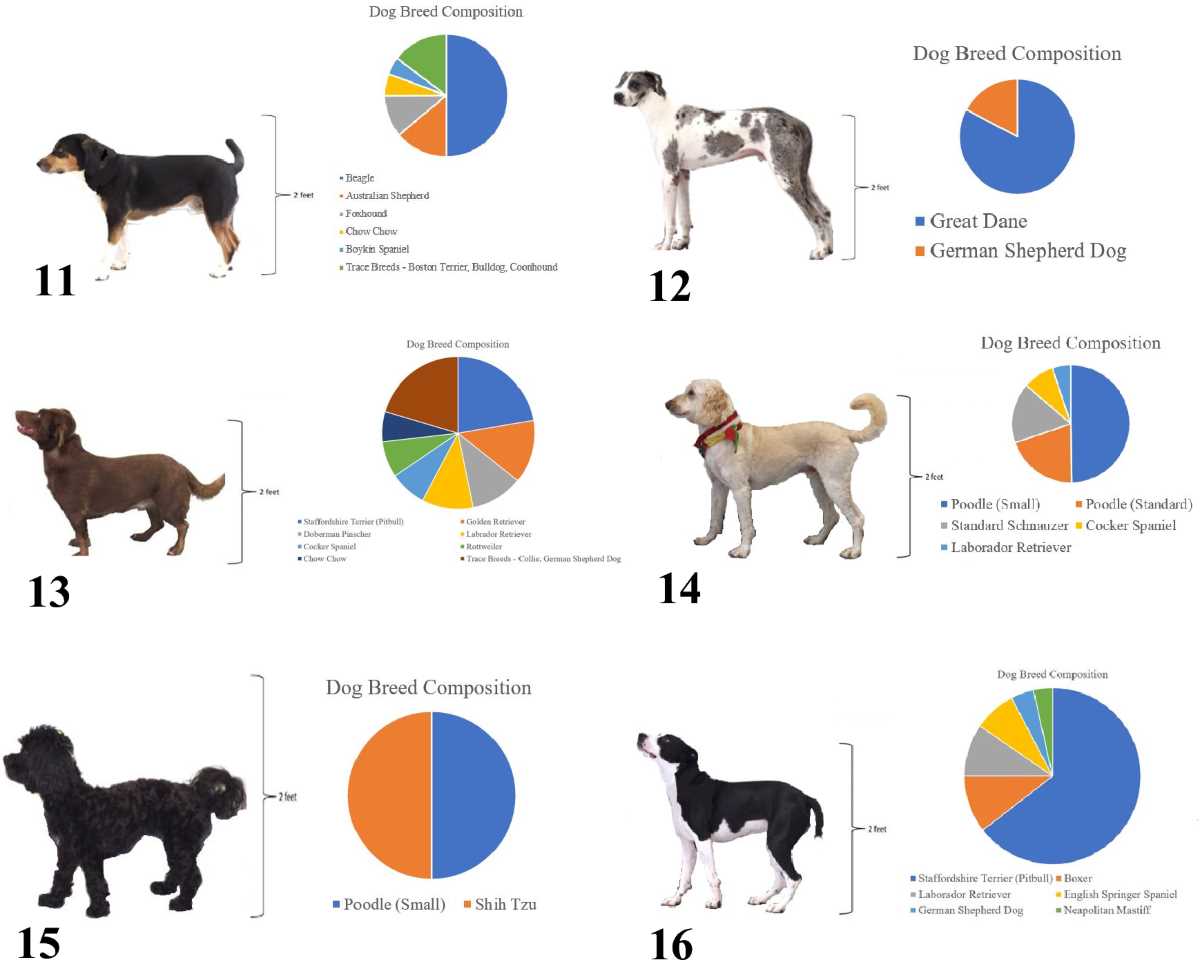 georgia veterinary law exam answers