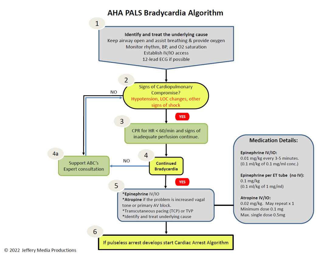 pals 2025 pretest answers