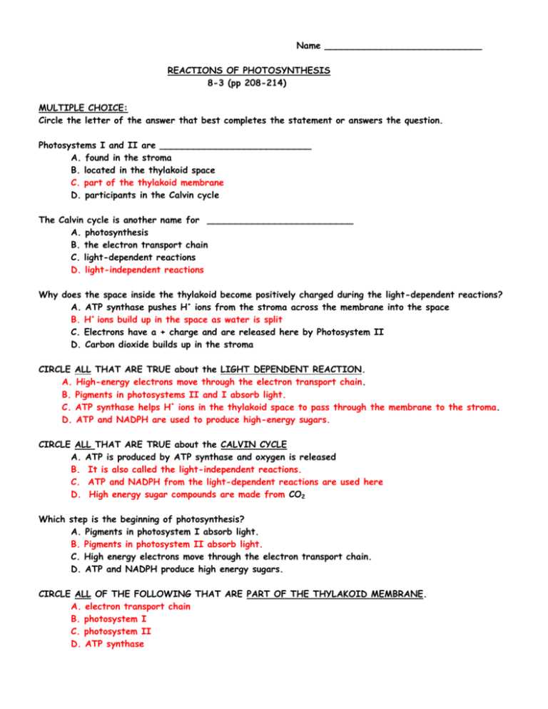 section 8 3 the reactions of photosynthesis worksheet answers