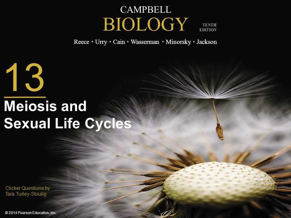 chapter 13 meiosis and sexual life cycles reading guide answers