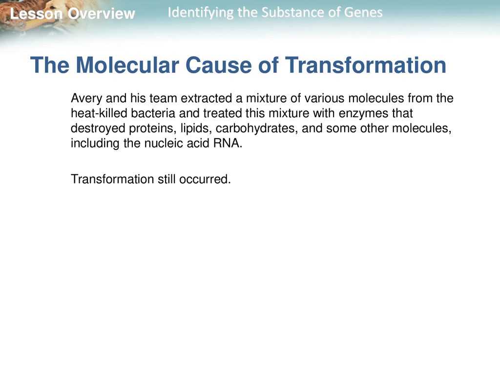 12.1 identifying the substance of genes answer key