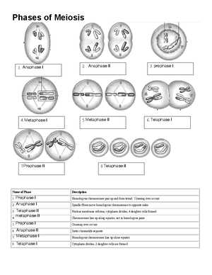 bio 101 exam 2 answers