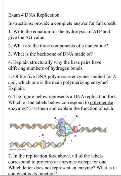 dna exam questions and answers