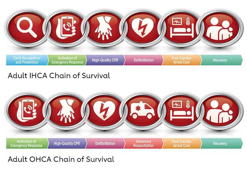 aha bls instructor exam answers 2015