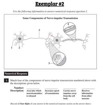 biology 30 practice exam answers