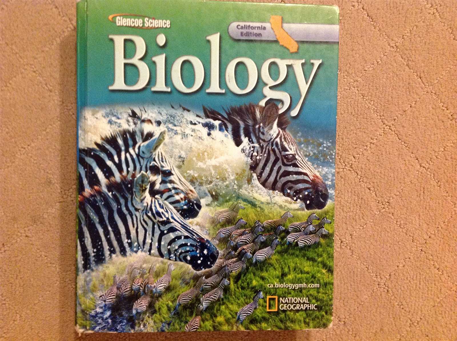 glencoe science biology answer key