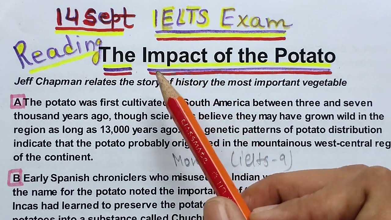 impact exam answers