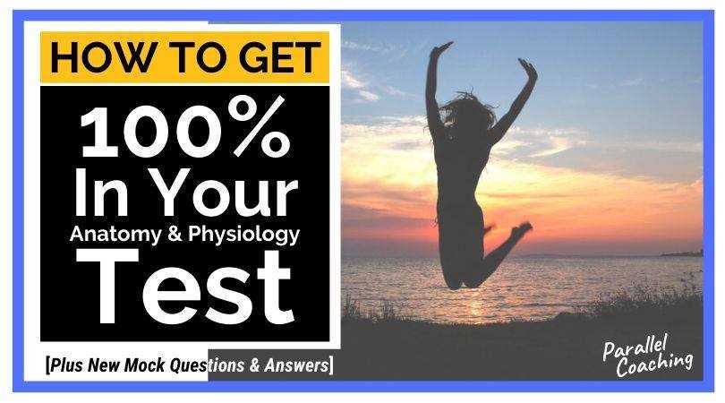 anatomy and physiology tests with answers