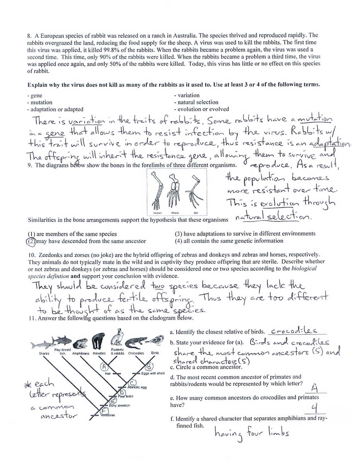 evolution exam review answers