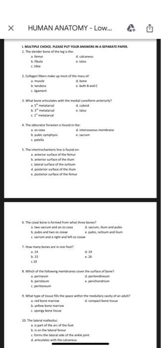 anatomy and physiology 1 final exam answer key