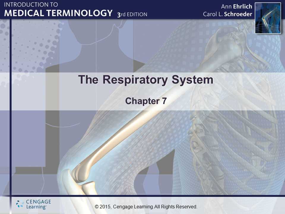 medical terminology ch 7 answers