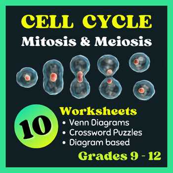 meiosis reading and questions packet answers cinch learning