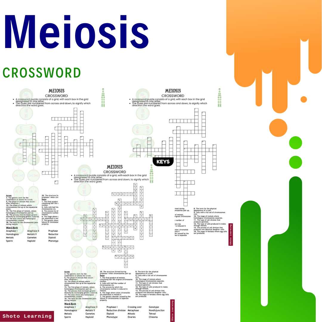 meiosis reading and questions packet answers cinch learning