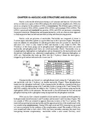 ap biology chapter 21 reading guide answers