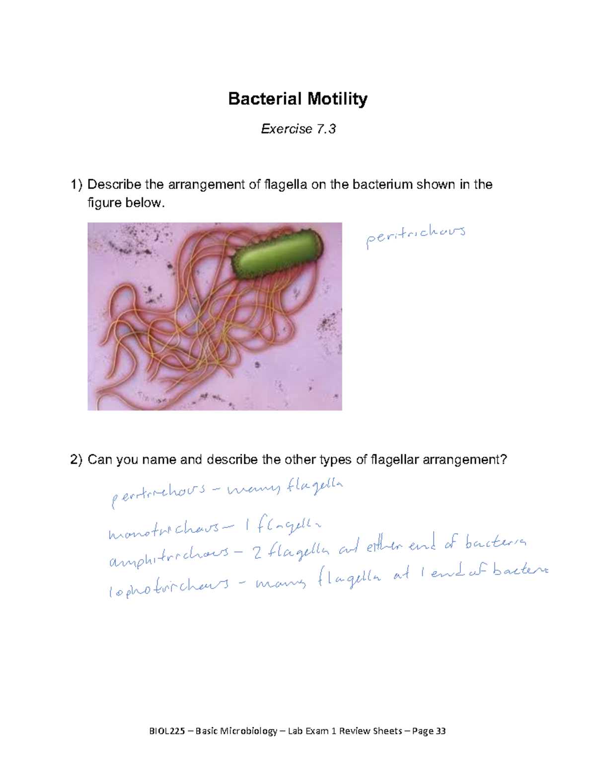 microbiology lab exam 1 review