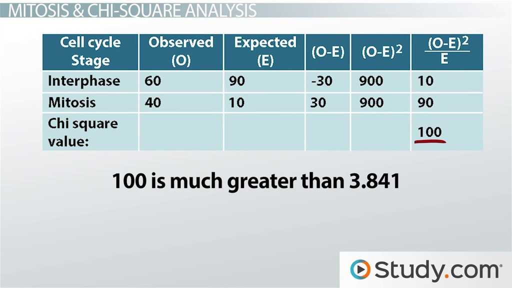 mitosis and meiosis test answers