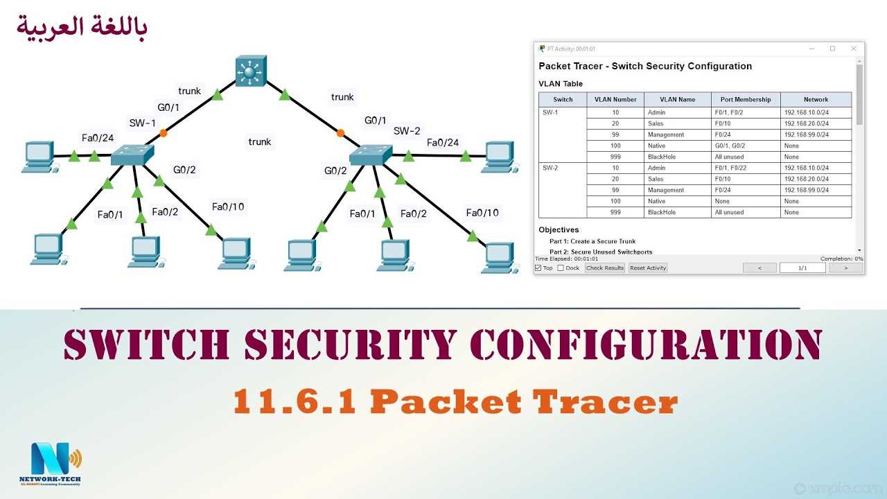 packet tracer 8.1.3.3 answers