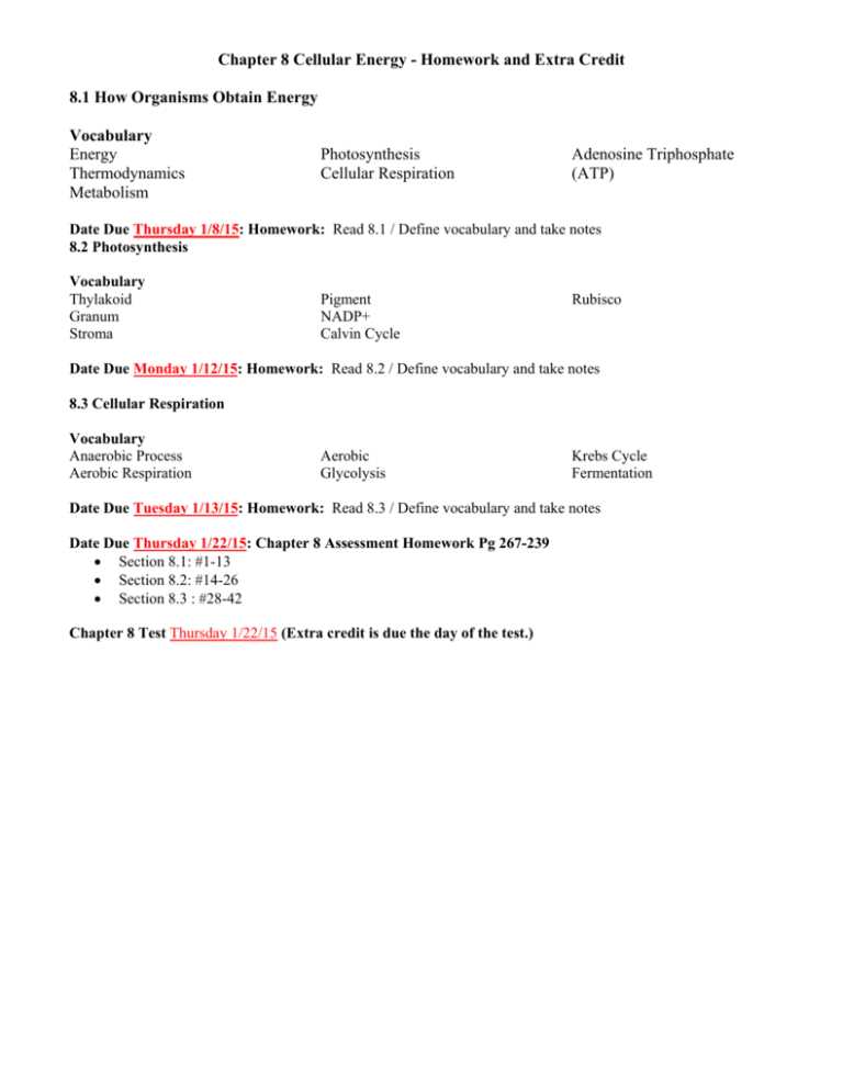 section 8 1 energy and life answer key