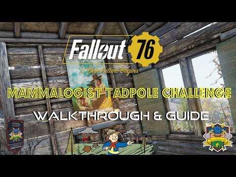 fallout 76 tadpole exam answers