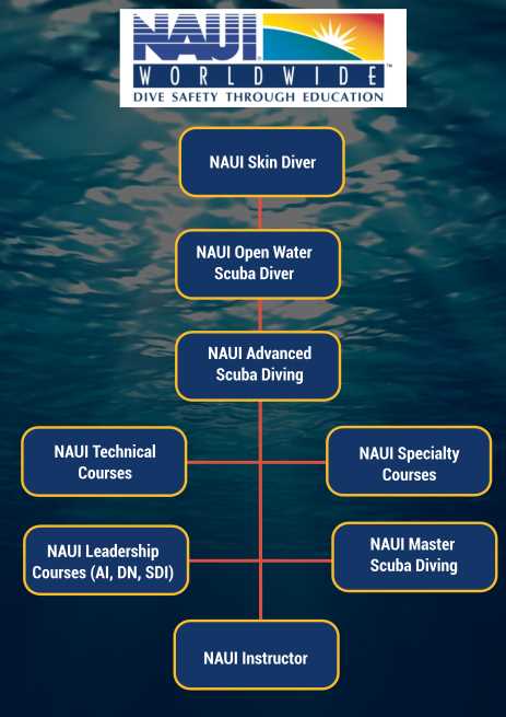 naui scuba diver exam answer key