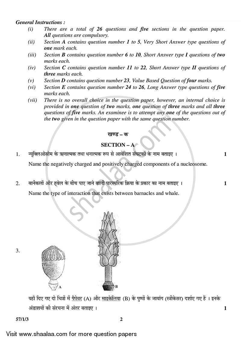 myanmar matriculation exam 2025 questions and answers