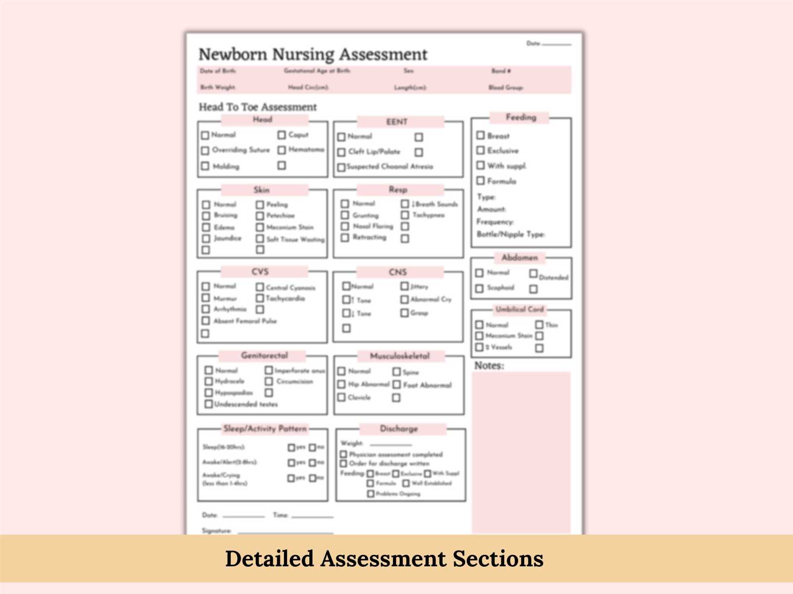 newborn physical exam template